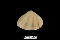 藏品(花蛤)的圖片